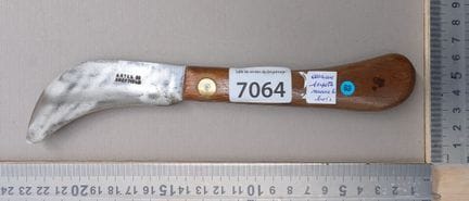 Serpette ancienne avec manche en bois (pliante) - 