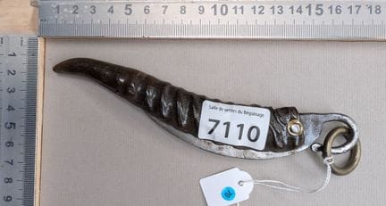 Ancien couteau à poisson manche en corne (pliant) 