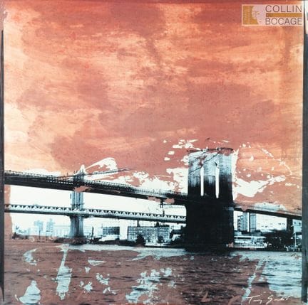 Tony Soulié (nacido en 1955)
Puente de Brooklyn
im