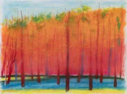 WOLF KAHN (TEDESCO - AMERICANO 1927-2020) 
Senza t