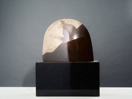 TAMOTU KAIDAI 设计的当代艺术作品
尾翼
棕色与金色古铜色调的青铜铸件，置于黑色矩形树脂