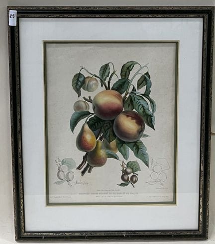 彩色版画 "Nouveau cours gradué de fleurs et de fruits 