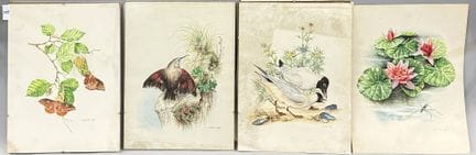 J.ZINKE
一套四幅描绘昆虫和鸟类的水粉画
右下角有签名
标注1988年
高40×宽30厘米
（