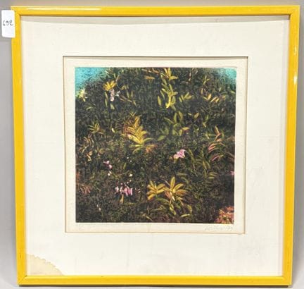 尼诺·科尔迪奥（1937-2000） 
灌木丛 
石版画 
右下角签名 
左下角编号 49/50 
