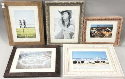 摄影作品
一套五张西部题材的照片，内容包括牲畜、野牛和66号公路
背面标有编号“TYPE 1 CC0