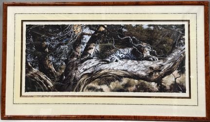 Spencer HODGE (1943-)
"Concealment"
Giclée 
Signed