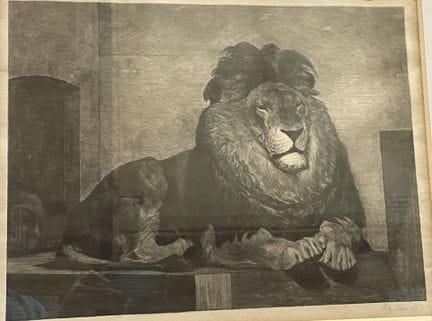 Auguste LANÇON (1836 - 1887).
Le lion du zoo de Lo