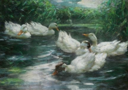 KOESTER, ALEXANDER MAX
1864 Bergneustadt–1932 Múni