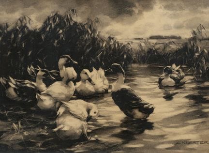 KOESTER, ALEXANDER MAX
1864 Bergneustadt–1932 Múni