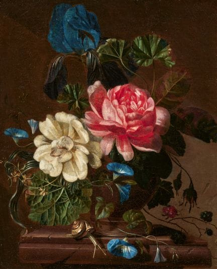 GRASDORP, WILLEM
1678 Zwolle–1723 Amsterdam

Title