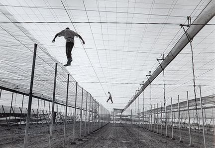 SEBASTIAO SALGADO 
 Brazil 1944–Paris 2025 
 
 Exo