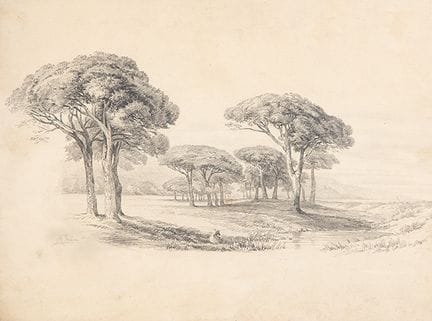 马克西米诺·佩尼亚·穆尼奥斯 
 萨尔杜埃罗，索里亚 1863年 — 马德里 1940年 
 
 风