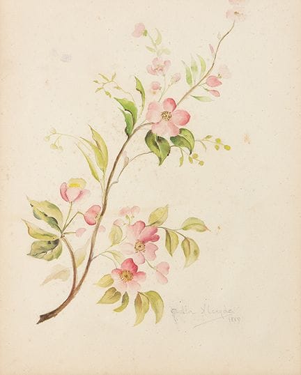 JULIA ALCAYDE MONTOYA 
 Gijón 1865 - ? 
 
 Fleurs.