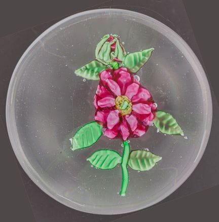 Clichy. Presse-papiers orné d'un dahlia rose (modè