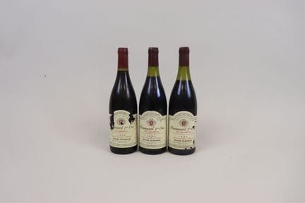 Lot 3 Bt 1 Pommard 1er cru Les Jarolières X. Cluze