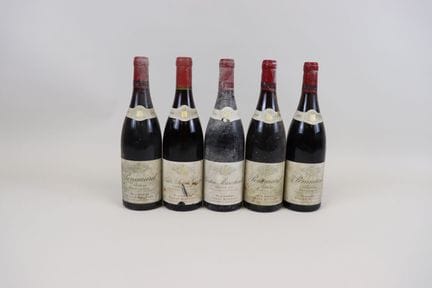 Los 5 Flaschen P. Bitouzet, 1 Nuits-Saint-Georges 