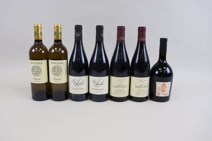 Los 7 Flaschen: 2 Hegoxuri Irouléguy Dom. Arretxea