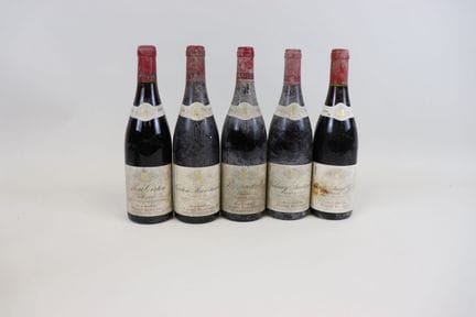 Los 5 Flaschen P. Bitouzet 1996, 1 Aloxe-Corton Va