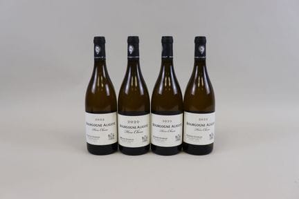 Los 4: Burgunder Aligoté „Hors Classe“ von Buisson