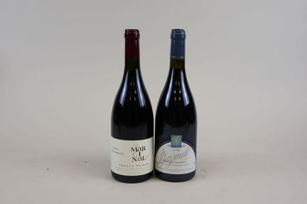 Lot 2 Bt Saumur-Champigny La Marginale Dom. des Ro