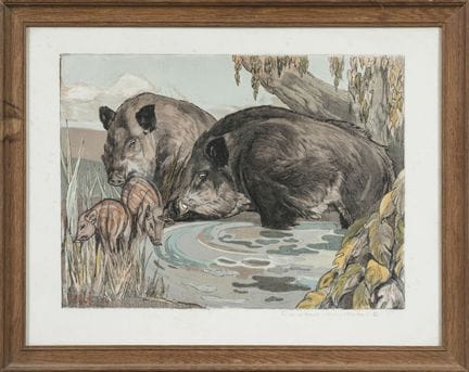 保罗·朱夫（1878-1973）。《母野猪、公野猪和小野猪》。彩印石版画，印于羊皮纸上。此版由艺术家