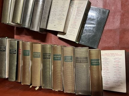 一套书籍，文学类，其中包括少量《普莱亚德》丛书，约19册，其中包括《福楼拜文集》、《帕斯卡尔文集》和