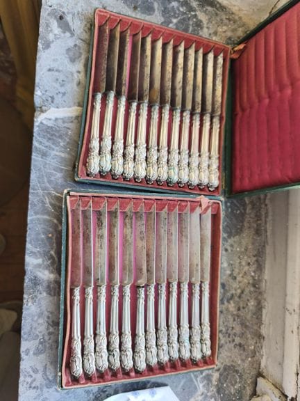 Lot de 12 couteaux à fruits lame en argent 925e et
