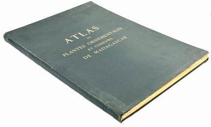 M. LOUVEL
Atlas des plantes ornementales et curieu