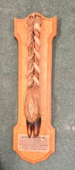 Braided deer antler mounted on a wooden shield.
LA