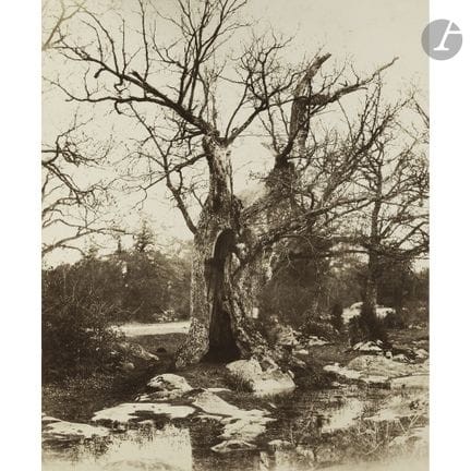 Eugène Cuvelier (1837–1900)
Clovis Oak. Fontainebl