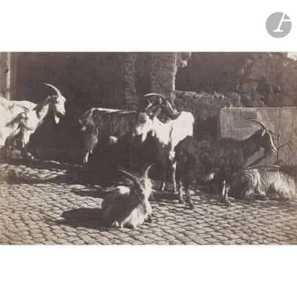 Giacomo Caneva (1813–1865) (attributed to)
Goats A
