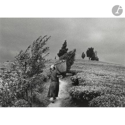 Sebastião Salgado (1944–2025)
Teeplantagen von Giv