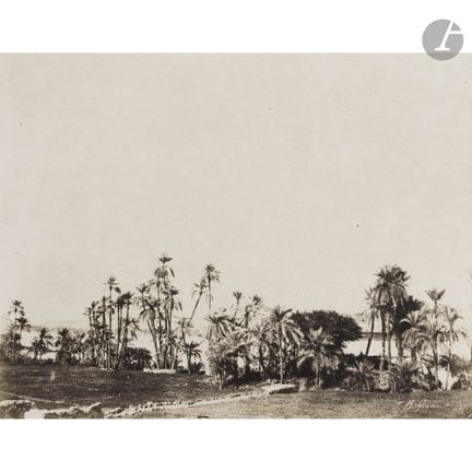 John Beasley Greene (1832–1856)
Egypt, 1853–1854.
