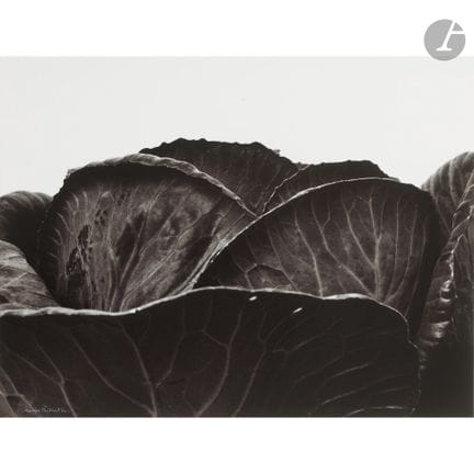 Denis Brihat (1928–2024)
Roter Kohl, 1975.
Histori