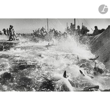 Sebastião Salgado (1944–2025)
La Mattanza, Trapani