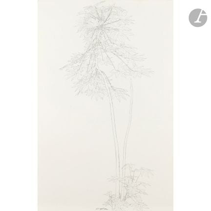 Sam SZAFRAN (1934-2019)
Sans titre (Plantes), 1982