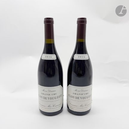 2 B CLOS DE VOUGEOT (Grand Cru) (entre otros), Dom
