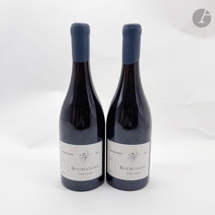 2 B BOURGOGNE PINOT NOIR (e.l.a.), Domaine Benoît 