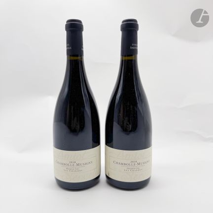 2 B CHAMBOLLE-MUSIGNY LES CHARMES (1er Cru), Domai