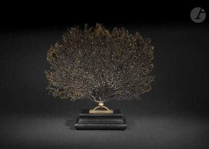 Black Gorgon with Fan-Shaped Hair
Dimensions (with