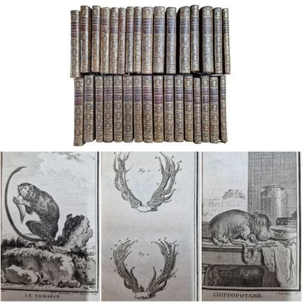 [BUFFON]. Natural History, General and Particular,
