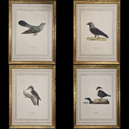 Según Magnus y Wilhelm VON WRIGHT 
Aves 
CUATRO LÁ