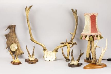 Eine bunte Auswahl an Geweihen und eine Lampe aus 