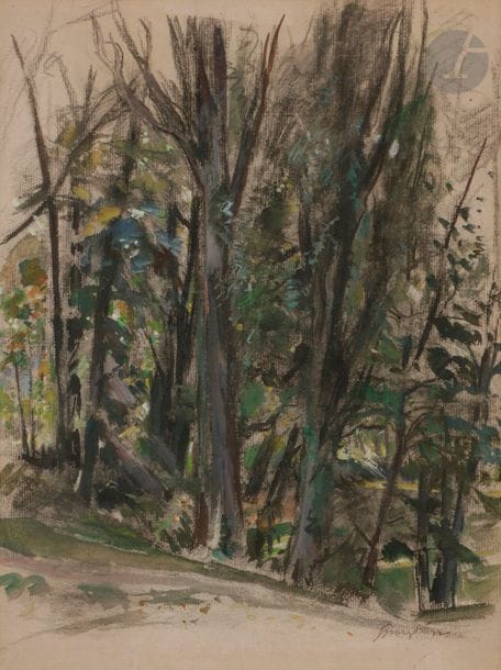 Georges Edmond DARGOUGE (1897-1990)
Bois de Boulogne
Aquarelle et fusain.
Signée en bas à droite.
31 x 23 cm