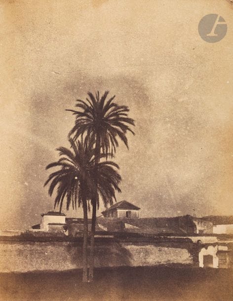 Émile Pécarrère (1816-1904)
Espagne, c. 1852.
Palmiers.
épreuve sur papier sale?, d’après négatif papier, contrecollée sur carton.
29,3 x 22,5 cm

Bibliographie :
Yvan Christ, L’Âge d’or de la Photographie, Paris, Vincent-Fréal et Cie, 1965, p. 41. 
Anne de Mondenard et alii, Modernisme ou Modernité, les photographes du cercle de Gustave Le Gray, 2012, p. 83.