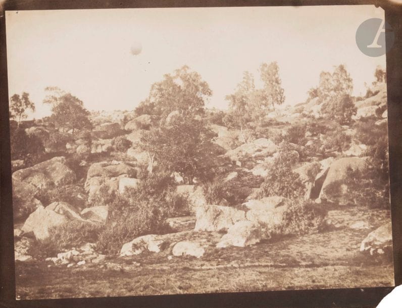 Gustave Le Gray (1820-1884)
Fore?t de Fontainebleau, 1849-1851.
Épreuve sur papier sale?, d’après négatif papier, non émargée.
22 x 28,2 cm avec marges

Bibliographie :
Sylvie Aubenas, Gustave Le Gray, 1820-1884, Paris, Bnf/Gallimard, 2002, p. 44.