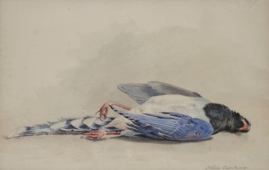 SEILLIERE COSSE-BRISSAC (École française du XXe siècle)
Nature morte aux oiseaux
Deux aquarelles
L’une monogrammée : « S.C.B » en bas à droite, l’autre signée en bas à droite : « Seillière, Cossé Brissac »
À vue : 54 x 45,5 cm et 31,5 x 49,5 cm