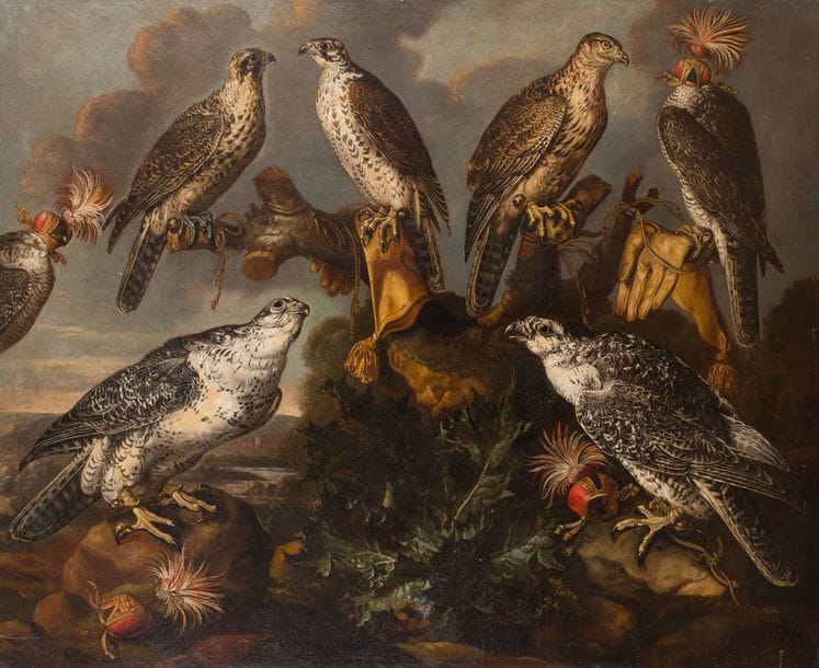 Carstian LUYCKX (Anvers 1623-1670)
Equipage de faucons laniers et de faucons pèlerins 
Toile.
(Restaurations anciennes).
117,7 x 145,5 cm

Provenance : 
Vente anonyme, Monaco, 14 février 1983 (Sotheby’s), n°615 (Jan Fyt); 
Vente anonyme, Paris, Hôtel Drouot, 23 mars 2000 (Tajan), n°23 (Guilliam Gabron).
 L’activité de Carstian Luyckx est encore méconnue et son corpus a souvent été confondu avec celui des artistes animaliers flamands plus prolifiques comme Jan Fyt (1611 - 1661) et Guilliam Gabron (1619 - 1678).
C’est le cas de notre tableau anciennement attribué à Guilliam Gabron, et auparavant à Jan Fyt. Il a donc été rendu à juste titre à Carstian Luyckx, par Fred Meijer, spécialiste des peintres de natures mortes au RKD (Rijksbureau voor Kunsthistorische Documentatie), la Haye. 
On peut d’ailleurs lui rapprocher les deux tableaux Faucons et Milans (paire de toiles, 71 x 57cm) de l’ancienne collection Jacques et Galila Hollander vendus à Paris, 16 octobre 2013 (Christie’s), n°102.
Notre tableau et cette paire présentent les mêmes faucons, de part et d’autre dans notre composition ainsi que, de manière isolée, dans la même posture, dans les tableaux Hollander. Ces œuvres témoignent aussi des mêmes fonds paysagers, quasiment neutres, tout comme du même souci dans le rendu du plumage des rapaces.
Notons que ce motif du faucon est aussi présent dans le spectaculaire tableau de Luyckx, représentant des Chiens gardant un trophée, présenté en vente à Amsterdam, le 20 novembre 2013 (Christie’s), n°168 (toile, 90,2 x 115,6 cm, 139 500 €).Nous remercions monsieur Fred Meijer de nous avoir confirmé l’attribution d’après une photographie numérique.