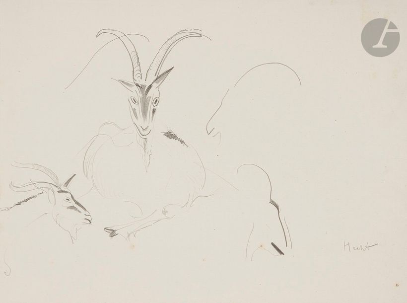 Joseph HECHT (1891-1951)
Études de bouquetins, vers 1930
Dessin à la mine de plomb sur vergé de Montval.
Signé en bas à droite.
29.5 x 39.5 cm
