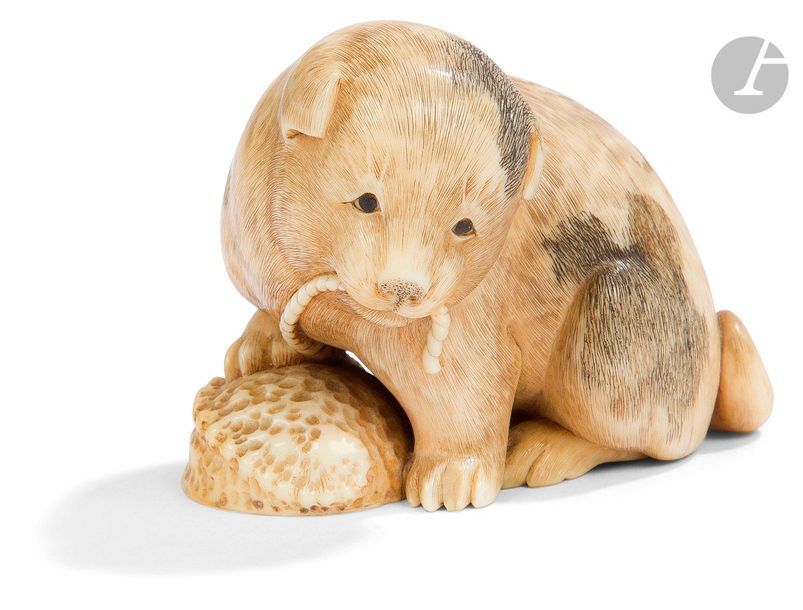 JAPON - Époque MEIJI (1868 - 1912)
Netsuke en ivoire, chiot assis, la patte droite posée sur un coquillage, un cordon dans la gueule. Signé Hojitsu. (Gerces naturelles).
H. 4 cm